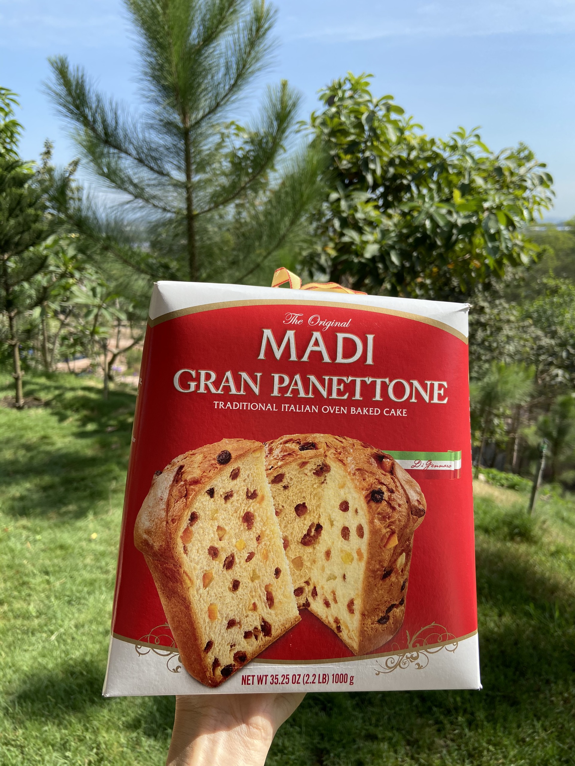 [HCM]Bánh MADI GRAN PANETTONE