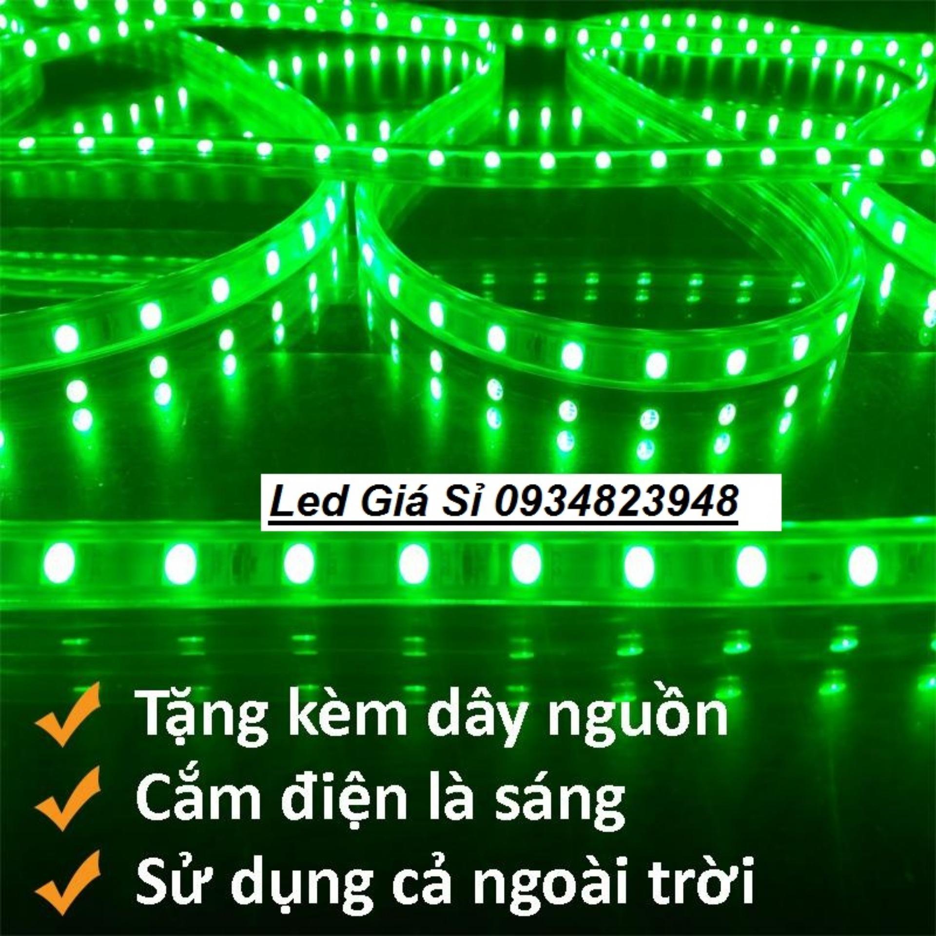 10m dây Đèn led trag trí 5050 Xanh lá - Tặng nguồn không chớp