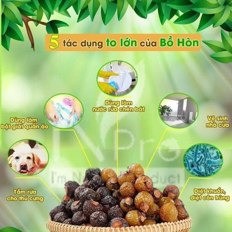 Bồ hòn đã tách vỏ mật dẻo - nhiều bọt xà phòng làm enzim nước rửa chén, gội đầu 1kg