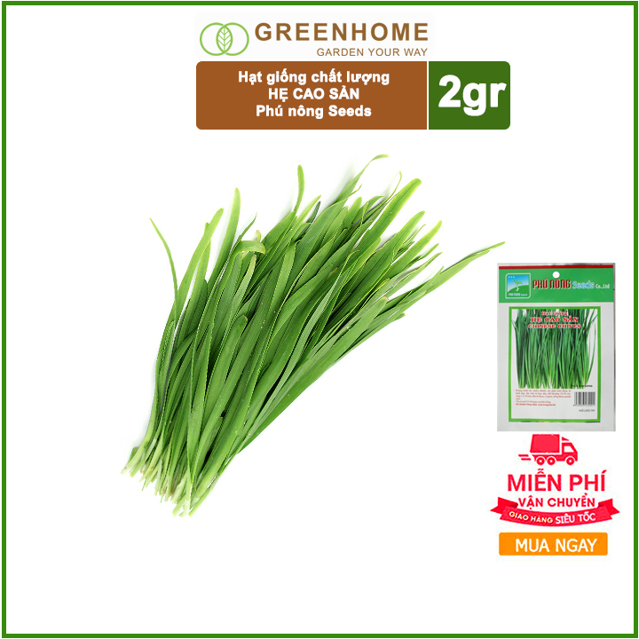 Hạt giống Lá Hẹ cao sản - Gói 2gr - Phú Nông- Sinh trưởng mạnh năng suất cao.