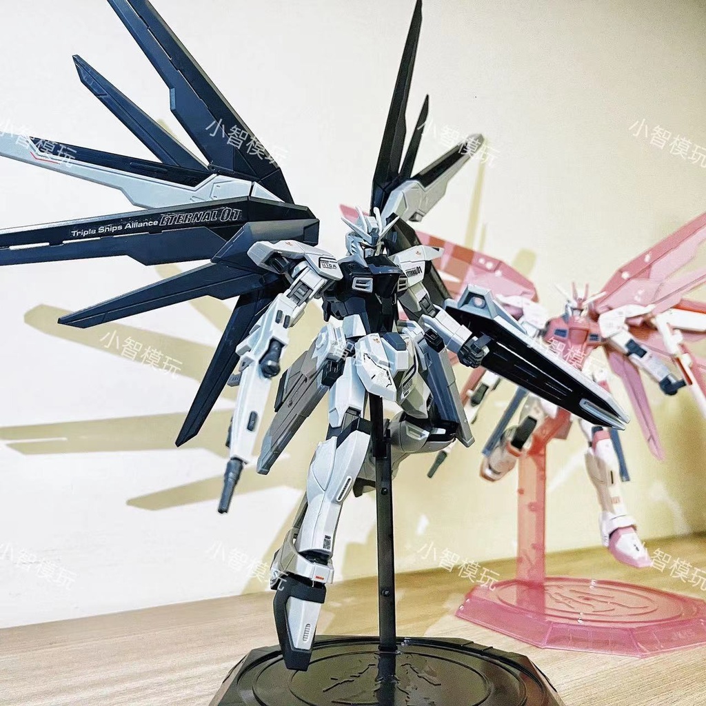 Mô hình lắp ráp HG Freedom Fighter Black Daban