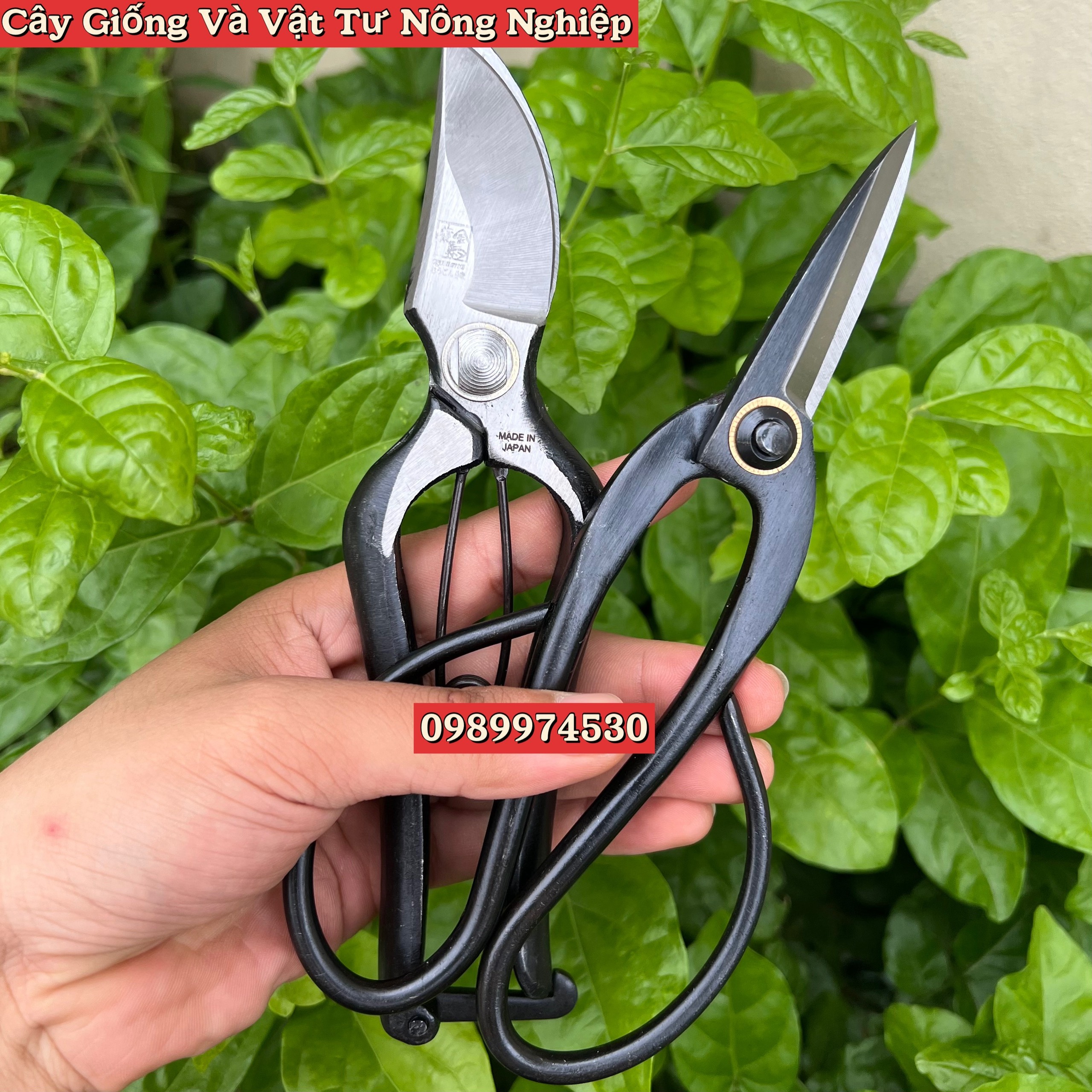 Combo kéo cắt cành + kéo tỉa lá, tỉa dăm thép đúc nguyên khối, chuyên dụng cắt tỉa bonsai, cây cảnh