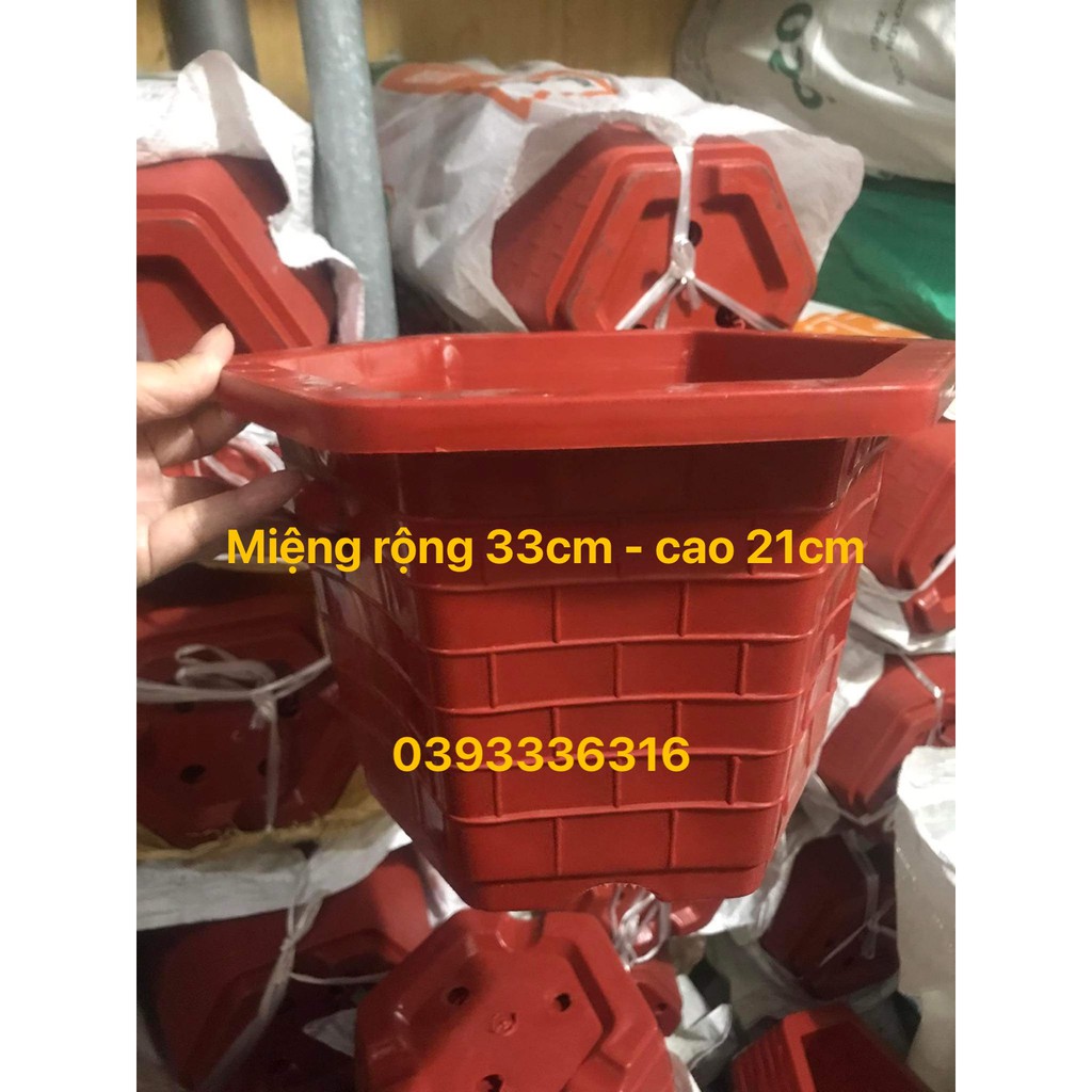 10 chậu nhựa trồng cây lục giác fa350- fa 450