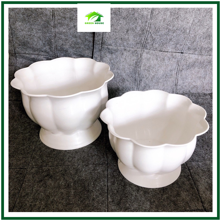 Chậu cây cảnh trái bí 21cm nhựa