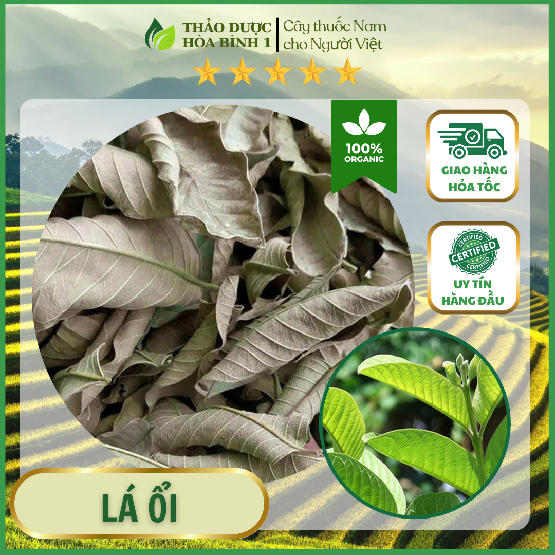 1kg trà lá ổi khô