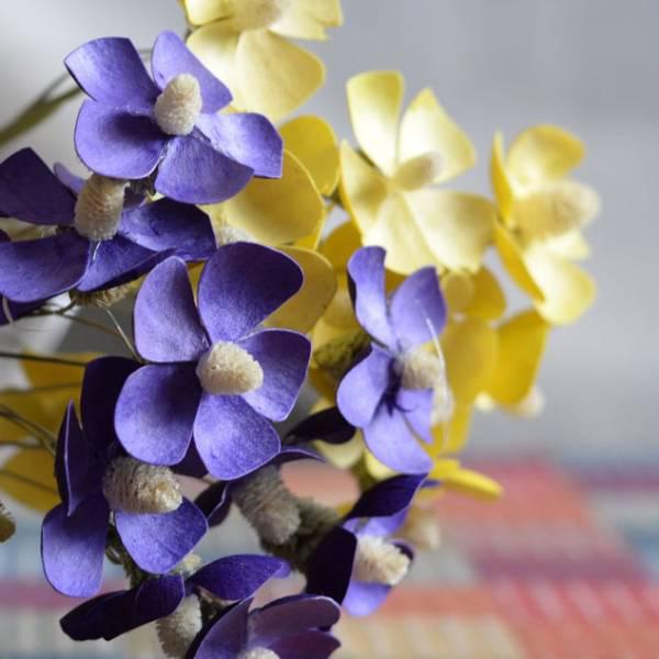 - Hạt giống hoa violet giá rẻ