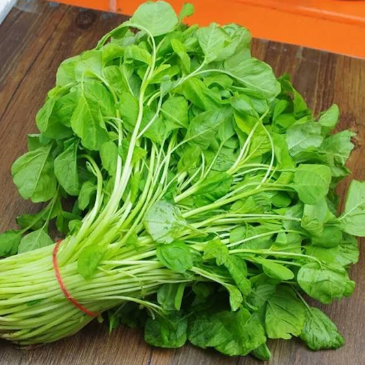 Hạt giống rau dên lá tròn gói 20g
