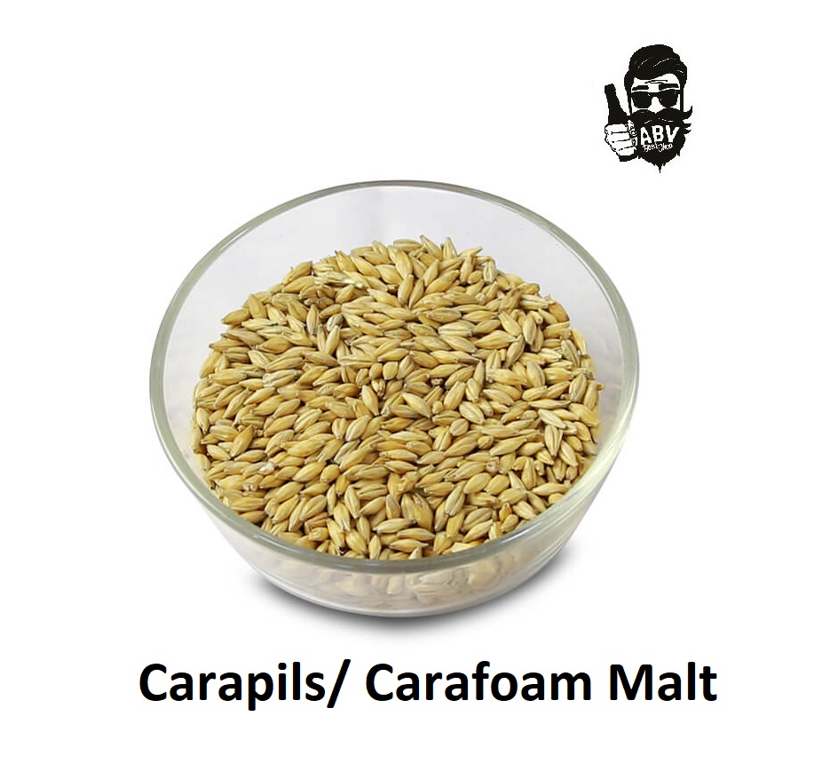 Malt nấu bia Carapils/ Carafoam Malt