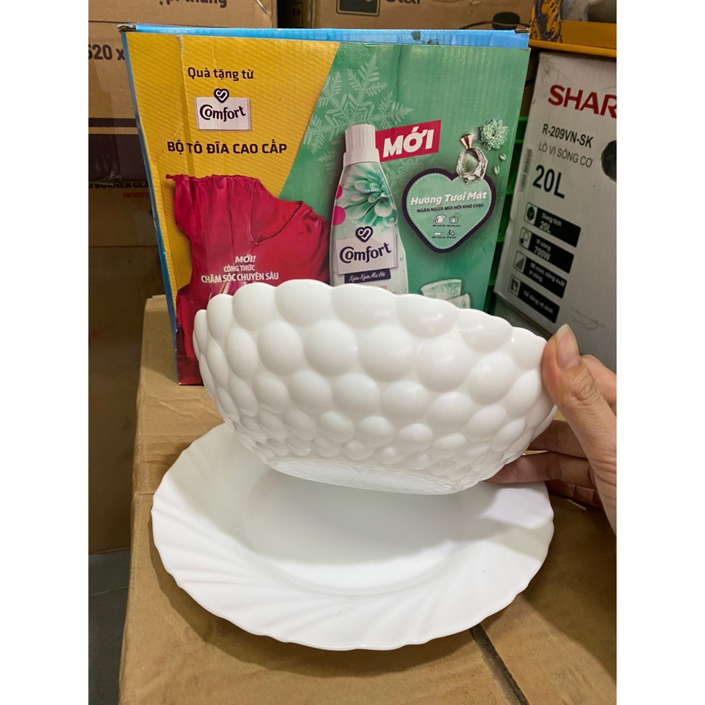 [HCM]Bộ 1 TÔ + 1 DĨA sứ trắng COMFORT