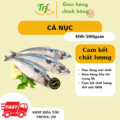 Cá nục Nhật cá thu đao nhập khẩu Truefood 400-500g