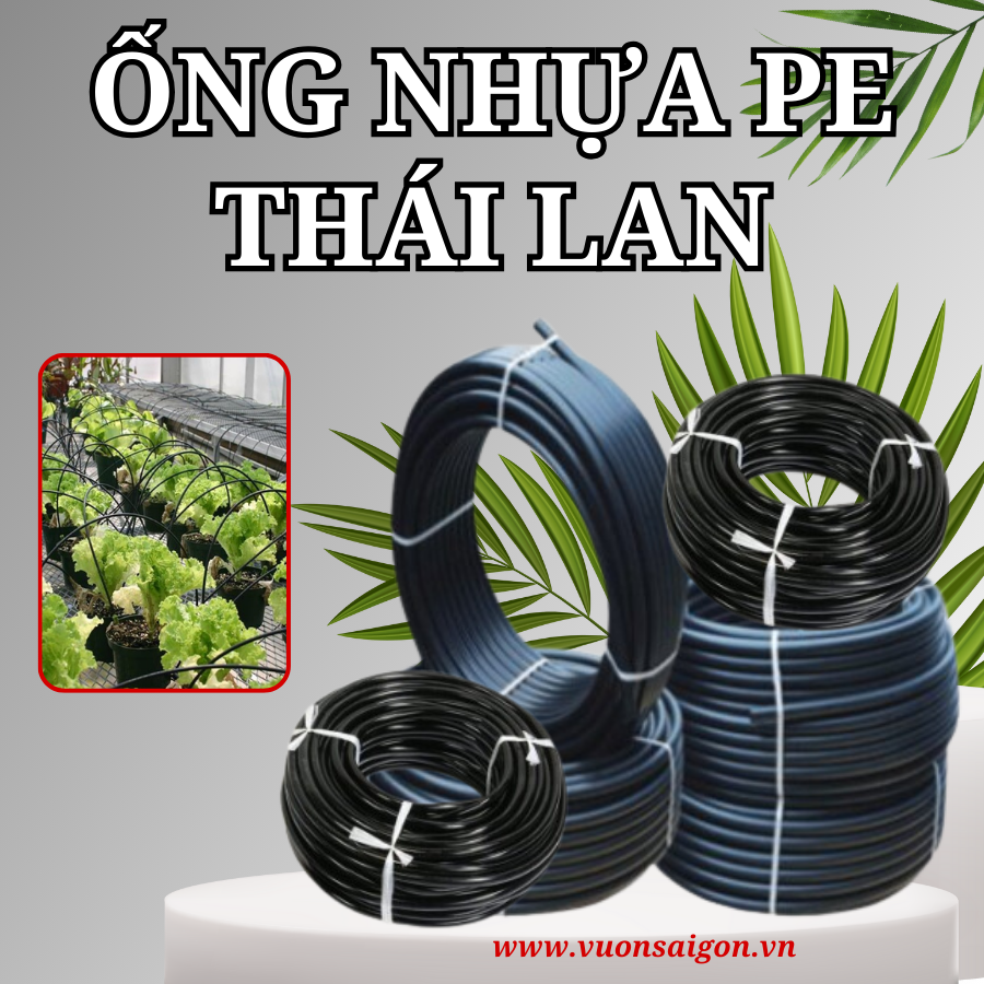 1 mét ống nhựa pe kích thước 6mm và 16mm cho hệ thống tưới