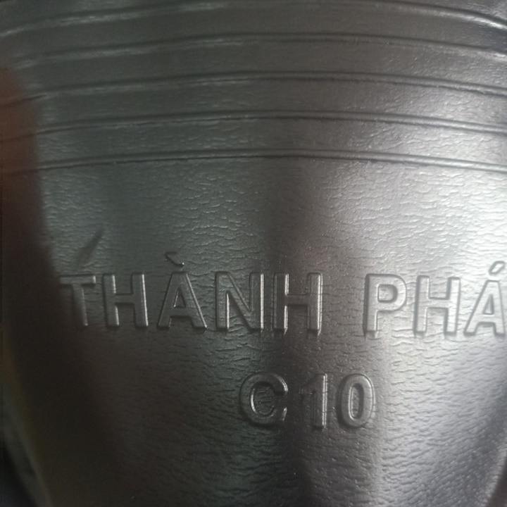 Chậu nhựa đen c10 250x200 50 chậu