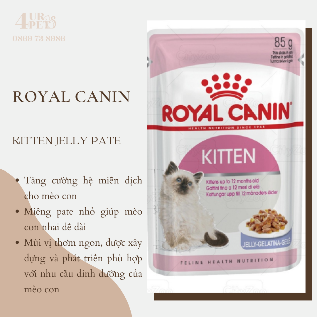 Pate cho mèo - royal canin kitten
