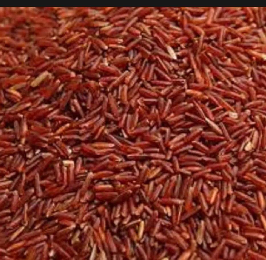 Combo 4kg Gạo lứt huyết Rồng nguyên chất có quà tặng Bấm theo dõi shop nhận ngay voucher 5% không điều kiện