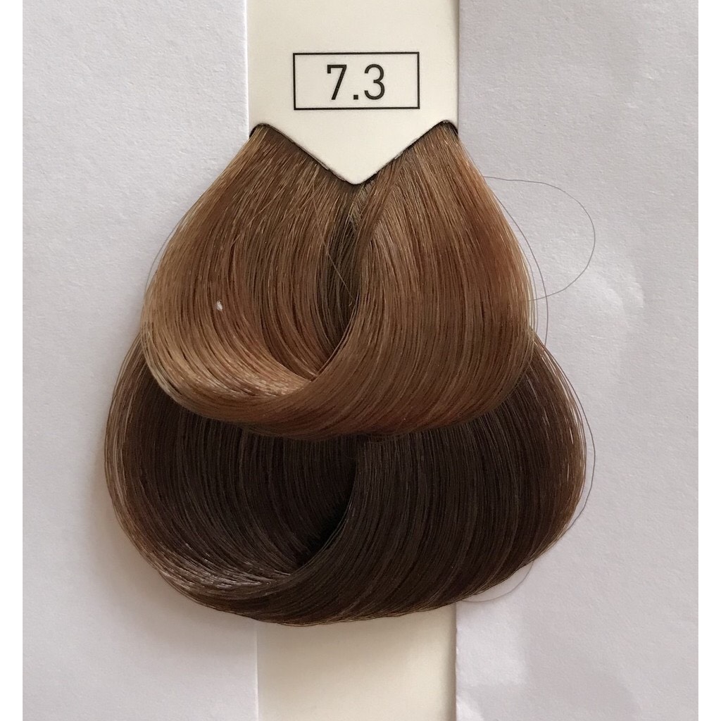 Lịch sử giá Màu nhuộm tóc thời trang Loreal Majifashion 6.52 50ml ...
