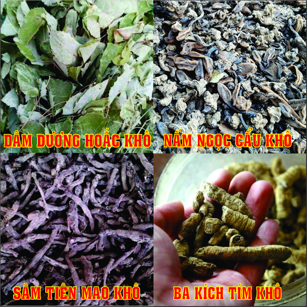 Combo- bổ thận, tráng dương