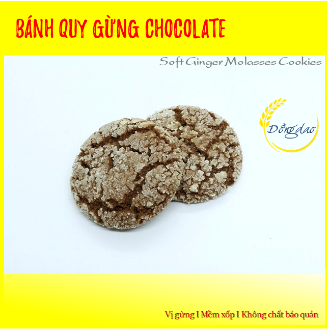 Bánh quy gừng chocolate mềm xốp / bánh gừng giáng sinh/ Soft Ginger Molasses Cookies