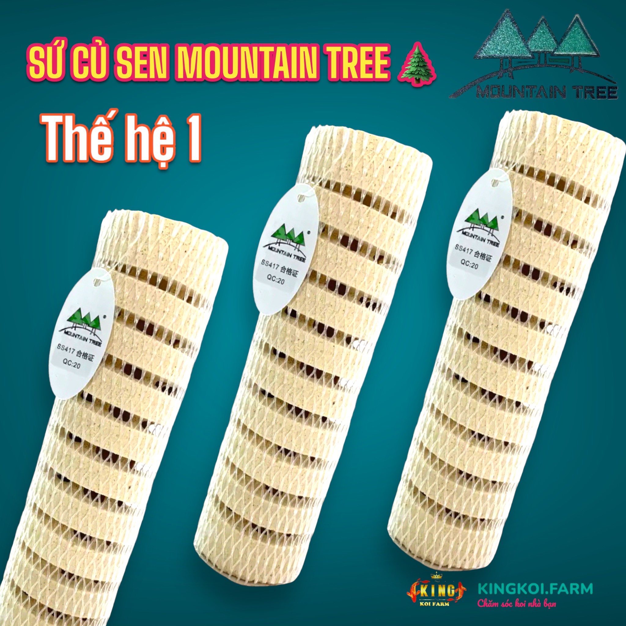 Sứ củ sen mountain tree thế hệ 1 - sứ lọc nước cao cấp tạo vi sinh dành cho cá koi cá rồng