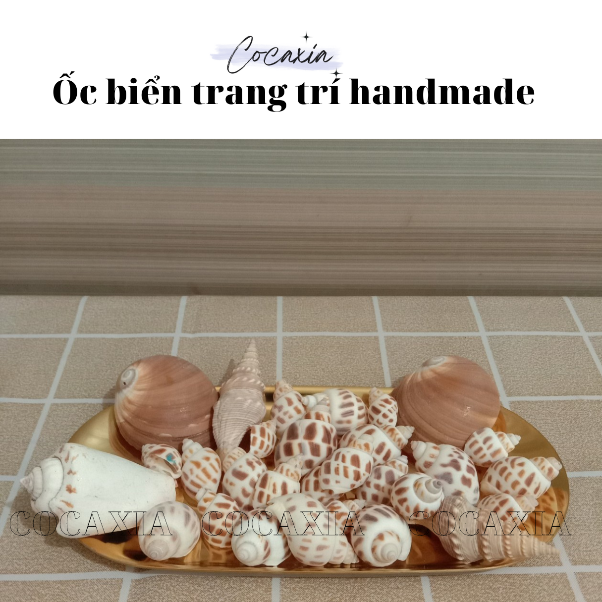 Vỏ ốc biển, sỏi biển trang trí handmade
