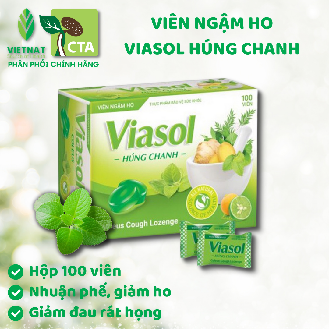 viên ngậm húng chanh viasol thảo mộc vietnat hổ trợ giảm ho hộp 100 viên 1