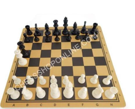 Bộ cờ vua nhựa đặc và bàn gỗ (tặng kèm hậu mỗi bên)