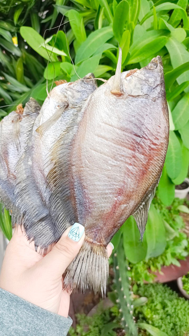 Khô cá sặc bổi lạt 3 nắng size mập 8 con/kg