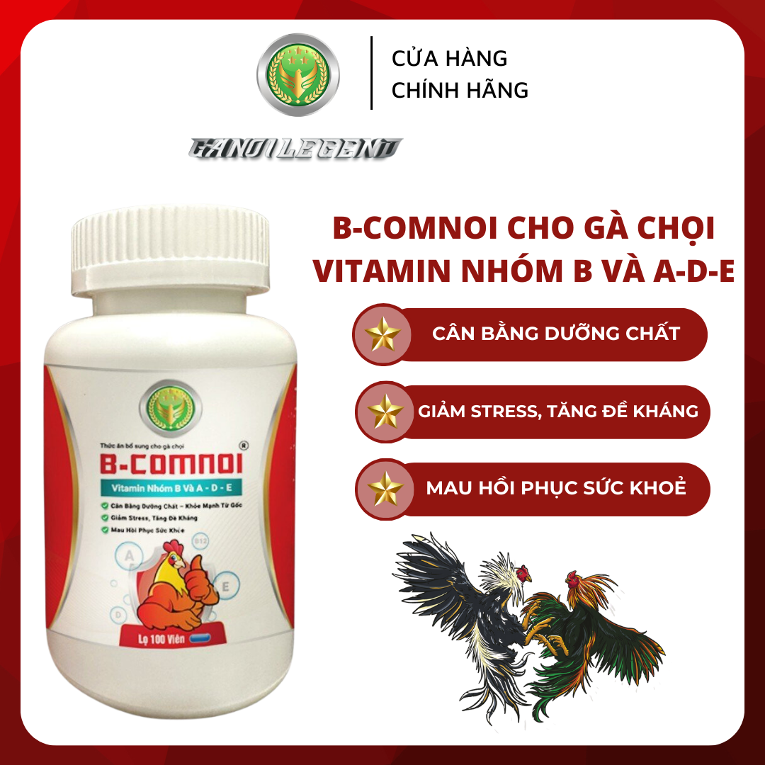 B-comnoi - vitamin nhóm b và a-d-e