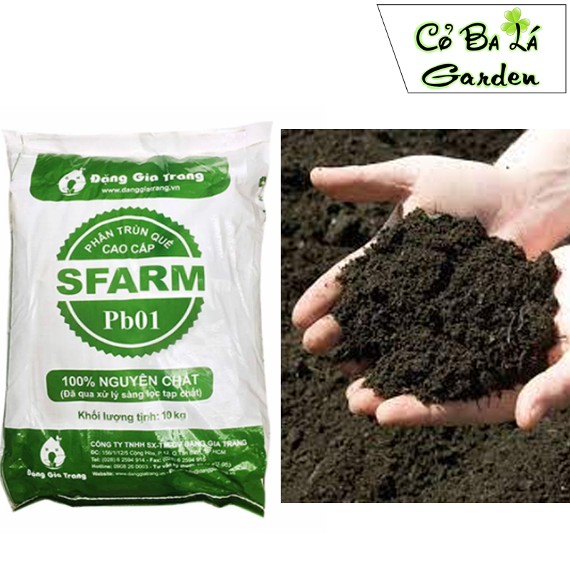 Phân trùn quế sfarm túi 500gram