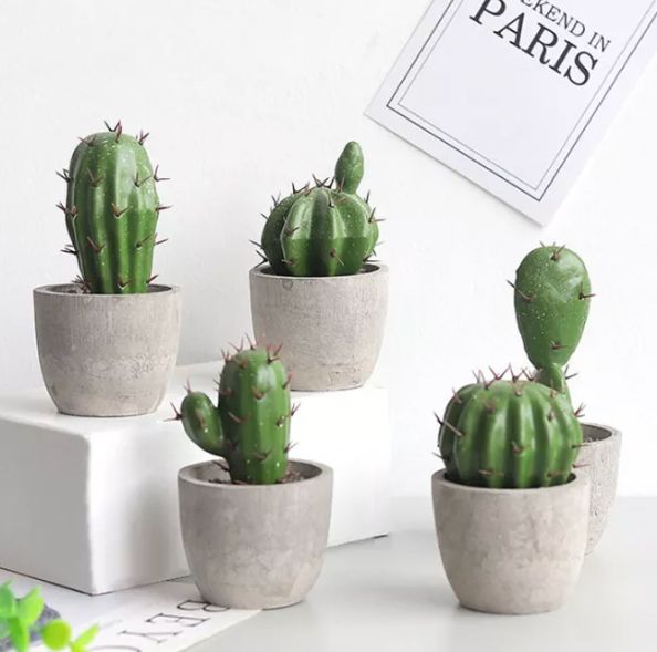 Chậu Cây Xương Rồng - Chậu Cây Giả Nhân Tạo Trang Trí Để Bàn Văn Phòng, Sân Vườn Gia Đình Liz Flower