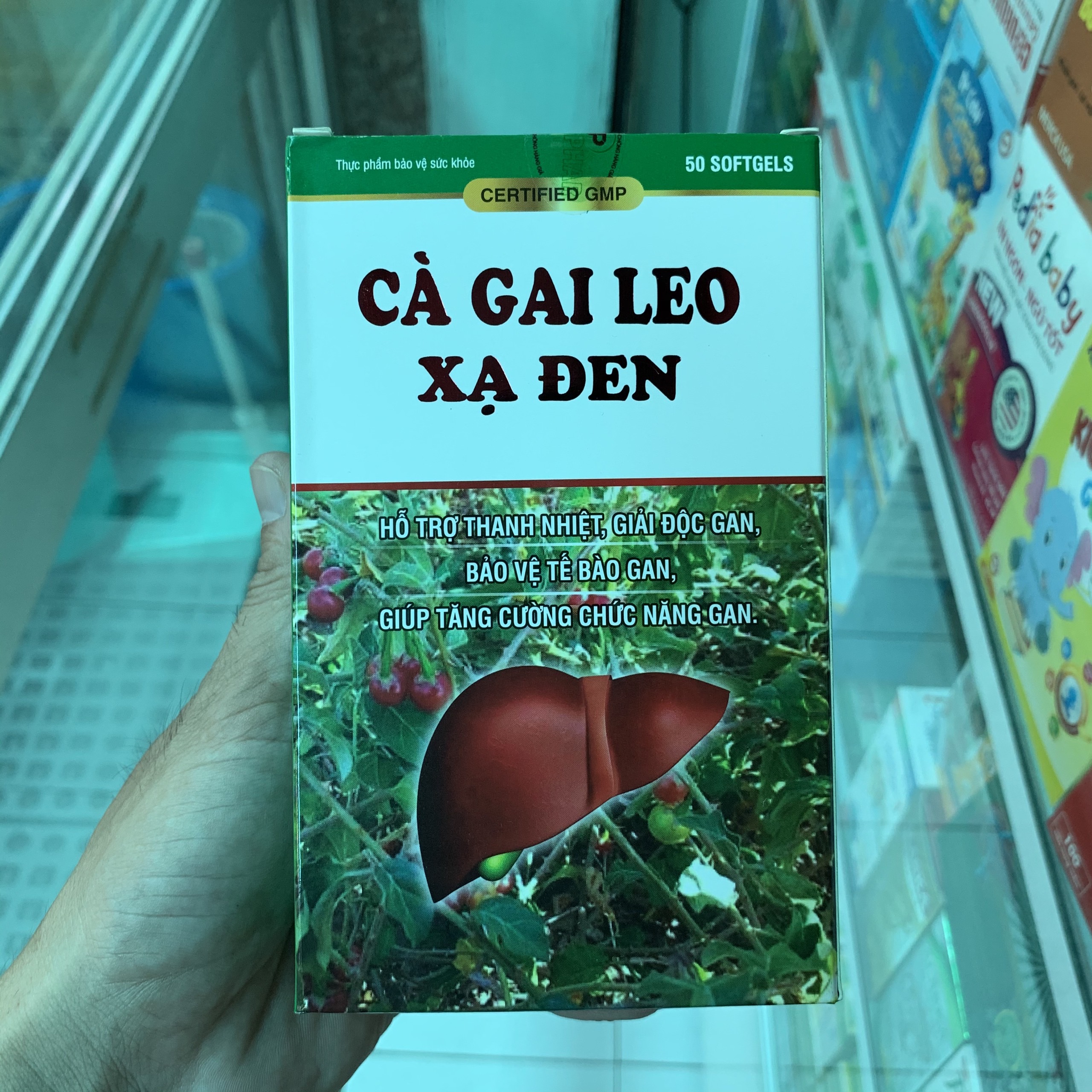 Cà gai leo xạ đen giải độc gan tăng cường chức năng gan hiệu quả hộp 60 viên