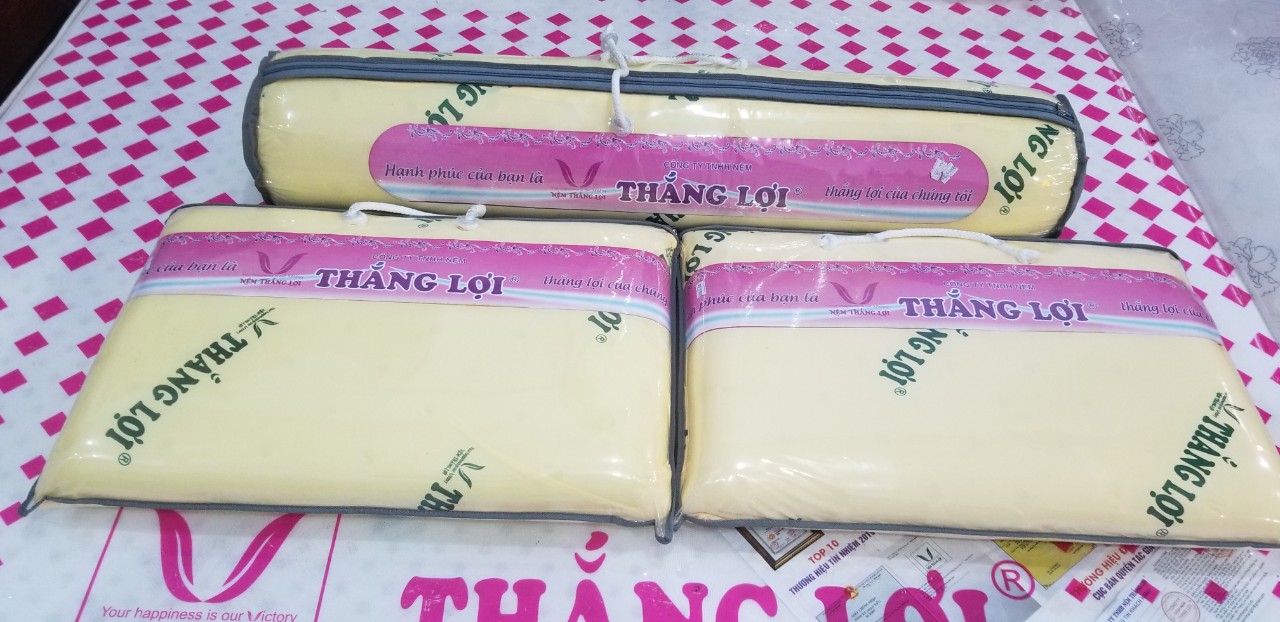 [HCM]BỘ 3 GỐI CAO SU NON THẮNG LỢI (2 Gối Nằm 40*60cm + 1 Gối Ôm),