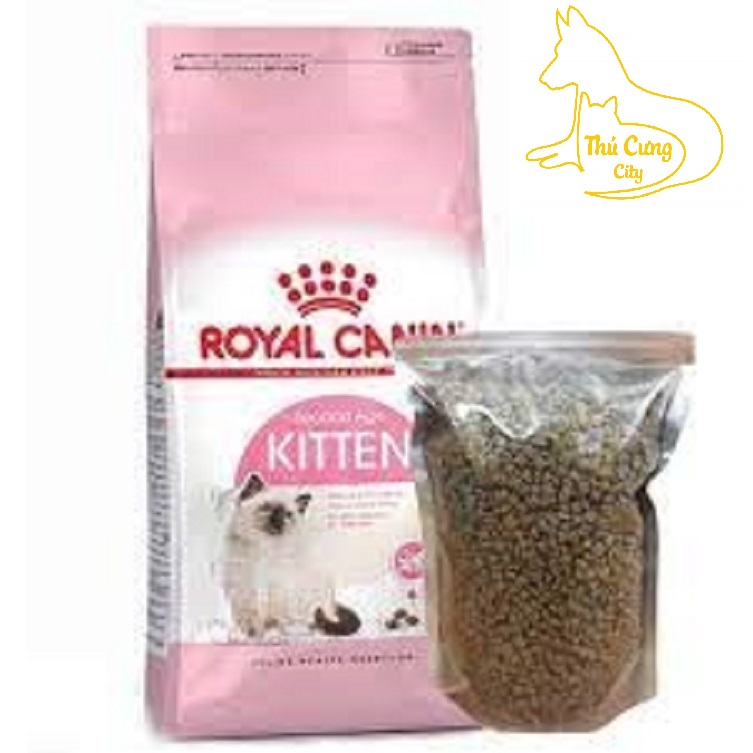 Thức ăn hạt Royal canin Kitten - Indoor - Fit cho mèo con túi chia 1kg