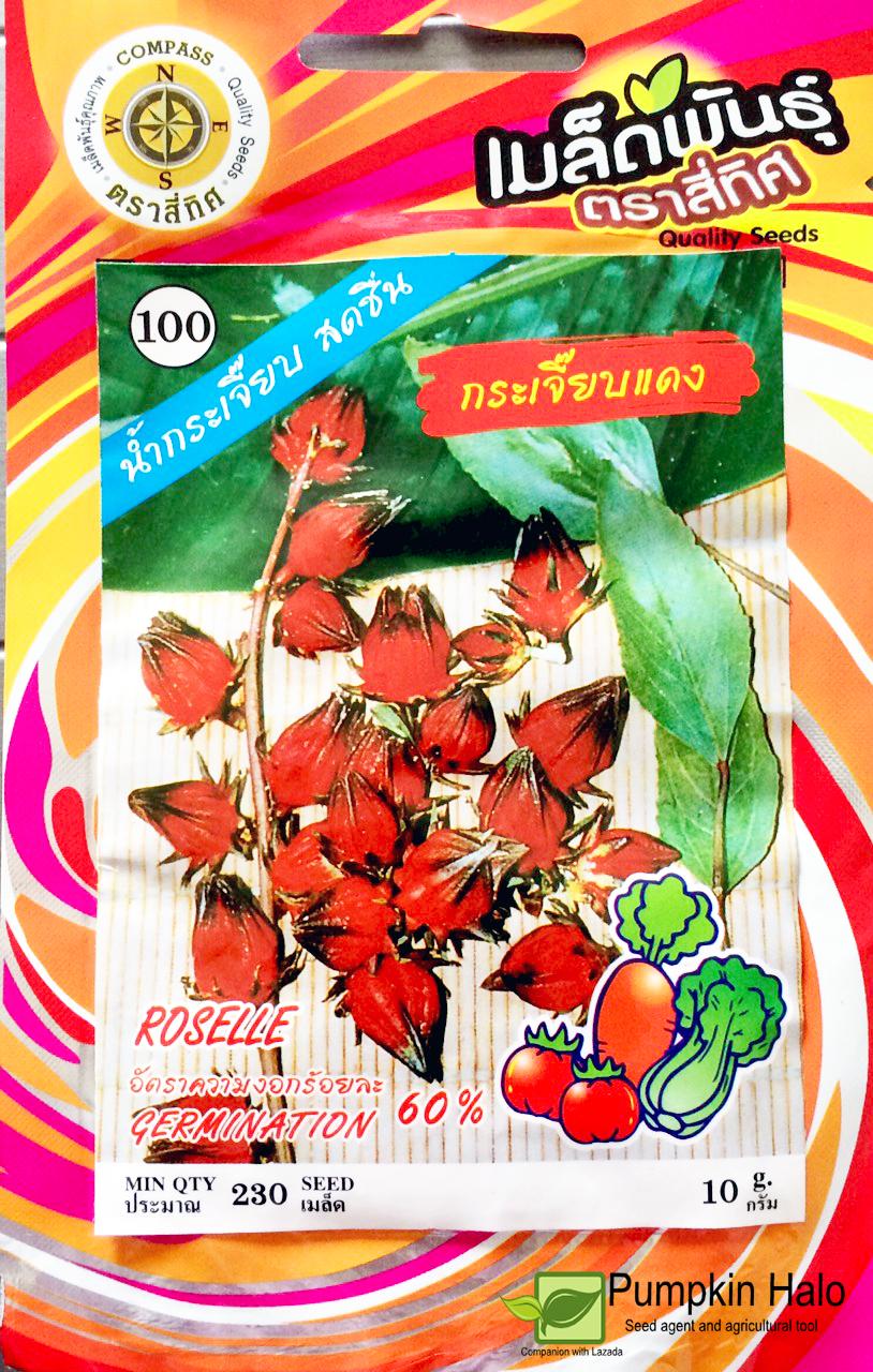 [HCM]HẠT GIỐNG THÁI - ATISO ĐỎ -GÓI 230 HẠT .