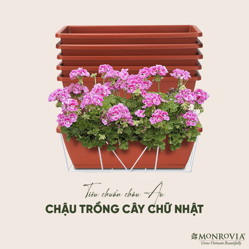 Combo chậu nhựa trồng cây chữ nhật kèm giỏ treo hoa ban công Monrovia