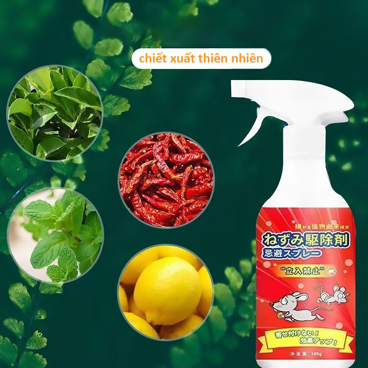 Bình xịt đuổi chuột - Xịt là đuổi cả ổ...Siêu hiệu quả an toàn