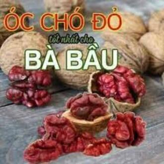 Nhân óc chó đỏ mỹ cao cấp - hàng chuẩn công ty - 500g