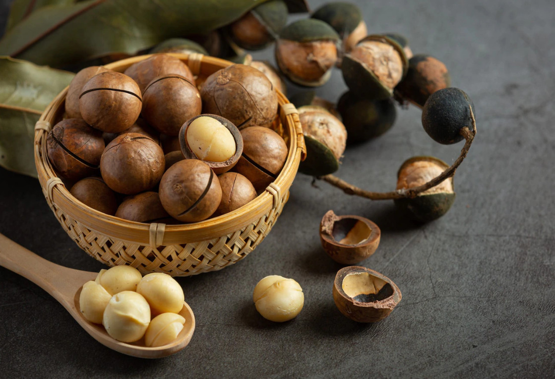 Hạt Macca Đà Lạt, sấy giòn, làm sữa hạt, tặng kèm đồ khui, Đặc Sản Ngon Lạ Đà Lạt