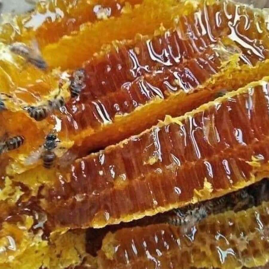 1l mật ong ruồi nguyên chất rừng quốc gia kon ka kinh