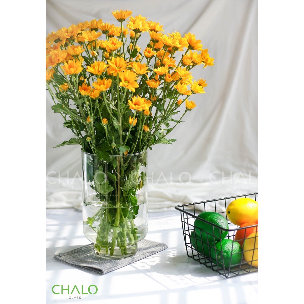 LỌ HOA THUỶ TINH LIBBEY SANG CHẢNH, BÌNH THUỶ TINH CẮM HOA, LỌ THUỶ TINH CẮM HOA GIA ĐÌNH