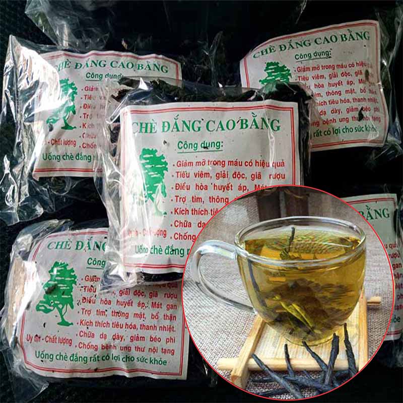Chè đắng Cao Bằng