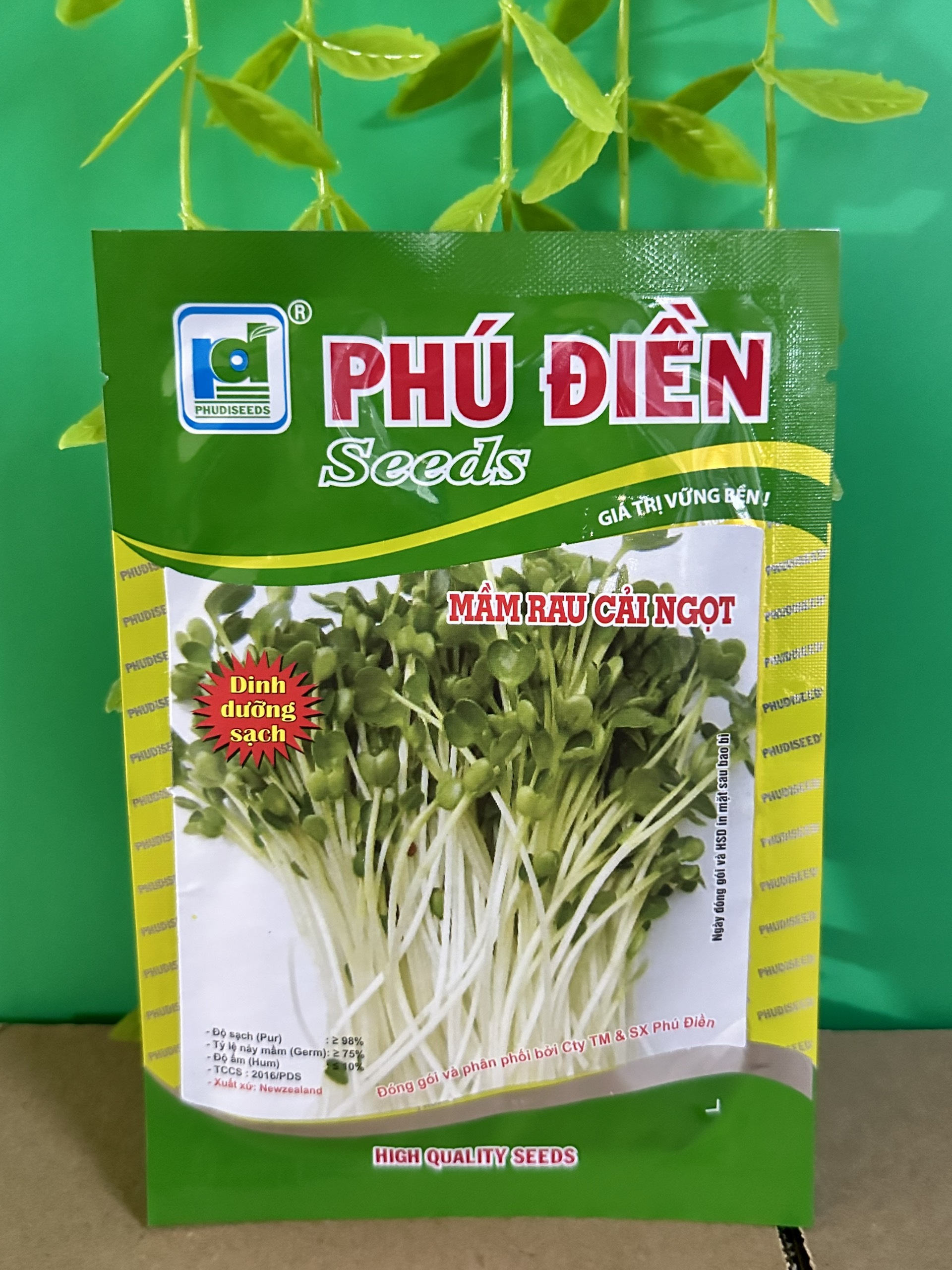 Hạt giống rau mầm rau cải ngọt