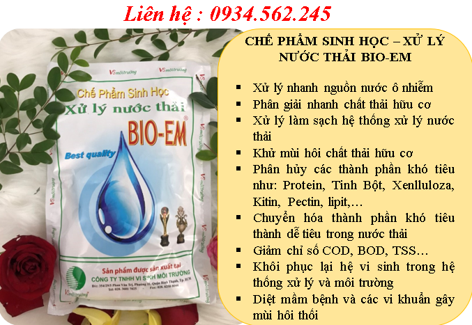 Chế phẩm sinh học xử lý nước thải BIO-EM