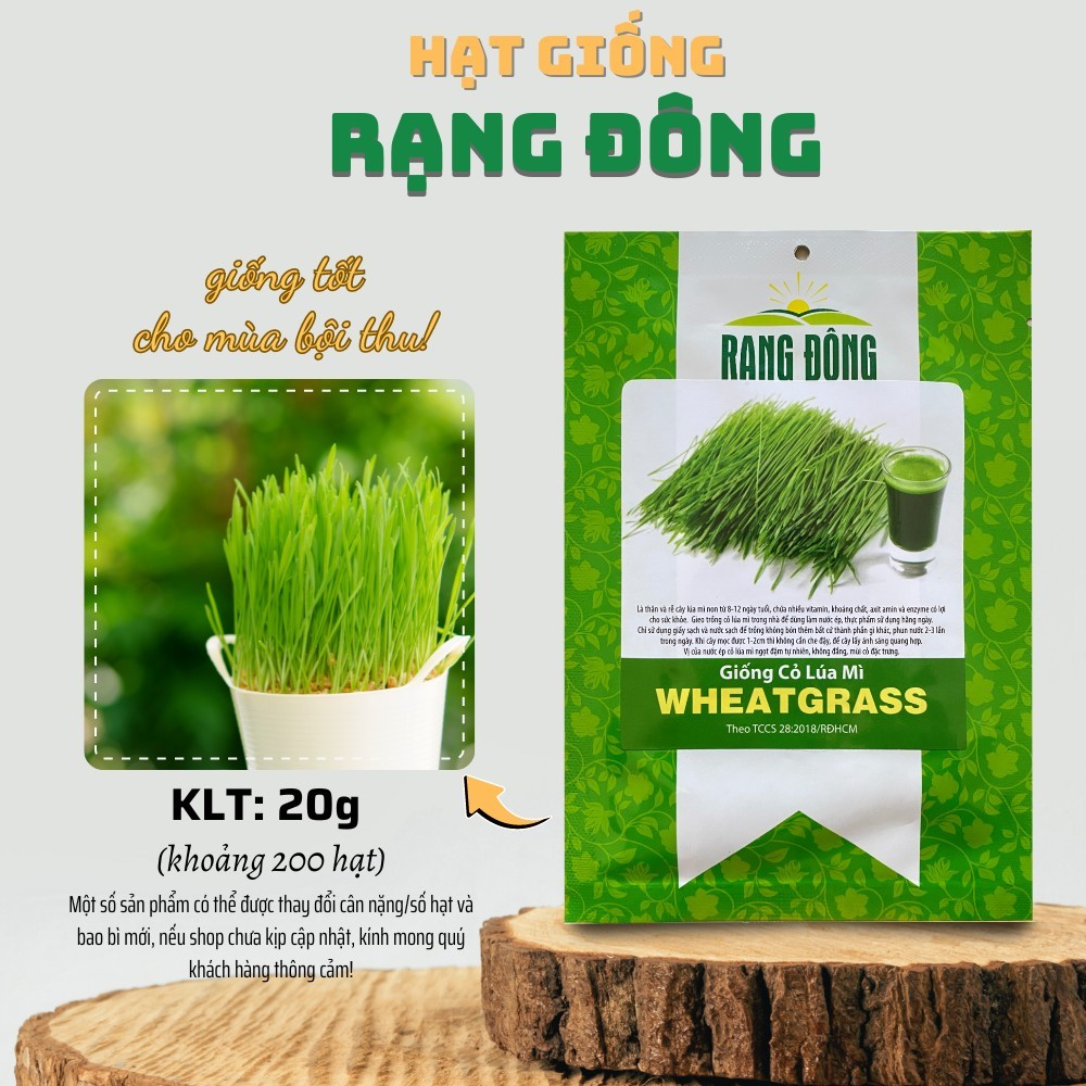Hạt giống Cỏ Lúa Mì Wheatgrass nhanh thu hoạch, dễ chăm sóc, trồng quanh năm - Hạt giống Rạng Đông