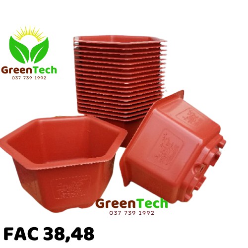 Chậu nhựa lục giác fac 38cm,48cm, chậu nhưa trồng cây