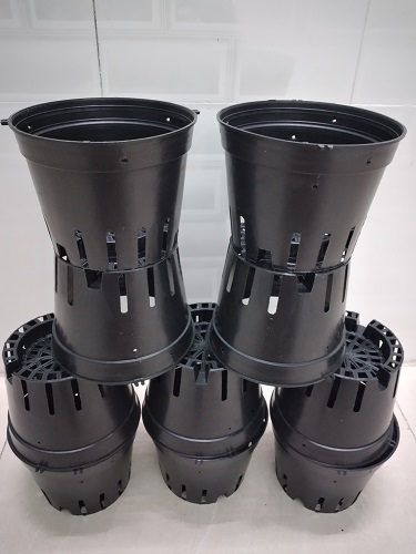 COMBO 10 Chậu nhựa trồng lan size 16
