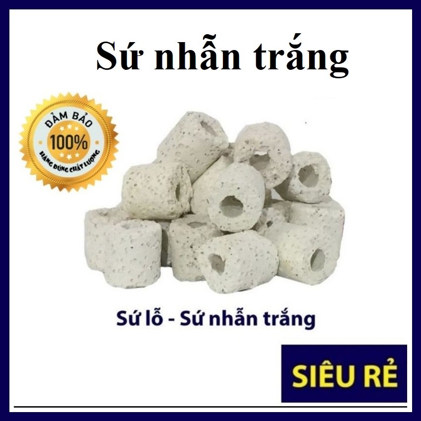 Sứ nhẫn trắng 3kg, sứ lổ lọc nước - Vật Liệu Lọc hồ cá