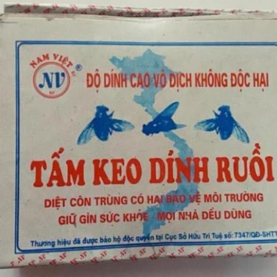 10 tấm keo dính ruồi siêu dính