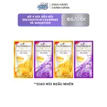 [GIFT] Bộ dầu gội travel-size Enchanteur 6g/ gói (Giao mùi ngẫu nhiên)