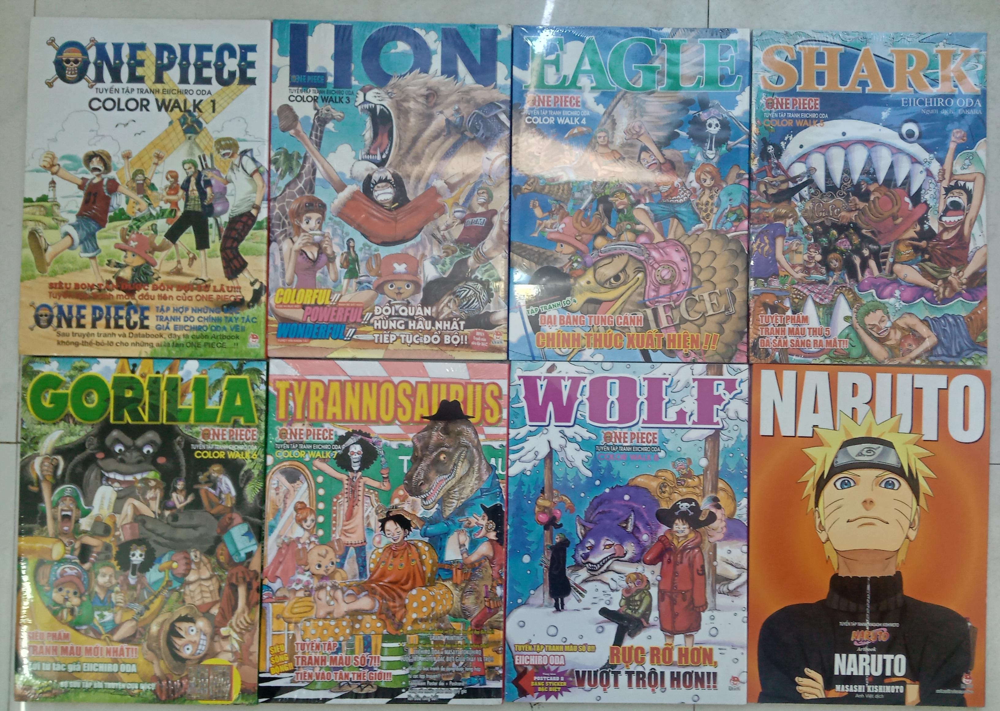 Color Walk One Piece Khám Phá Thế Giới Màu Sắc Trong Hành Trình