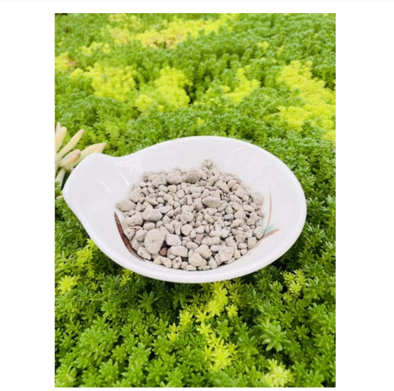 Đá Perlite - Đá Trân Châu Trồng Cây - Giá thể trồng cây siêu tốt